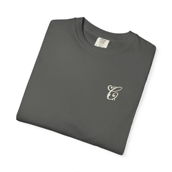 CRYPTOCASE: Protection Regent T - Image 3