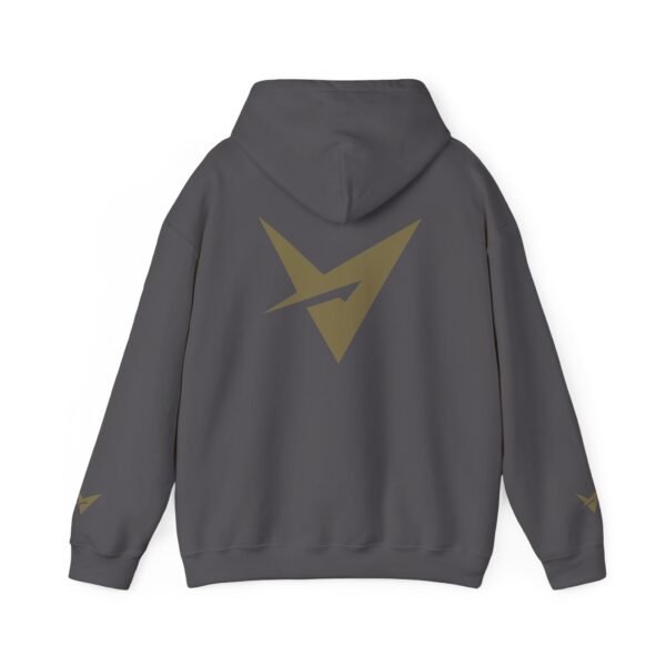 VERTISAN: GoldFusion Combo Regent Hoodie LTD - Image 2