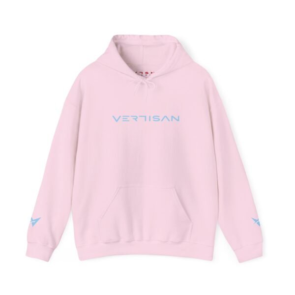 VERTISAN: SkyBlue Combo TeaRose Hoodie LTD